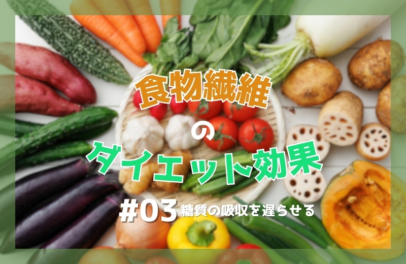 食物繊維のダイエット効果（3）糖質の吸収を遅らせる