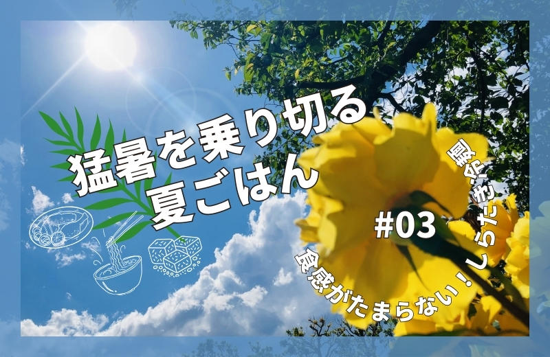 猛暑を乗り切る夏ごはん③~食感がたまらない!しらたき冷麺