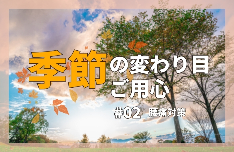 季節の変わり目ご用心②~腰痛対策