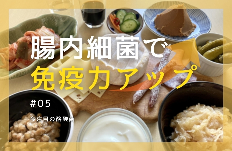 腸内細菌で免疫力アップ⑤~今注目の“酪酸菌”