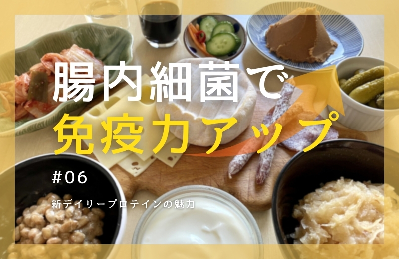 腸内細菌で免疫力アップ⑥~新デイリープロテインの魅力