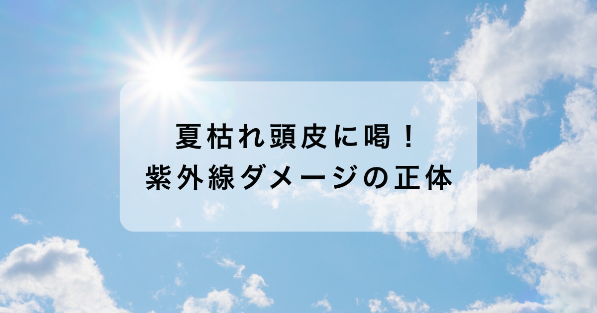 【夏の終わり】髪のパサつき・頭皮の乾燥の原因と秋に向けた頭皮ケア